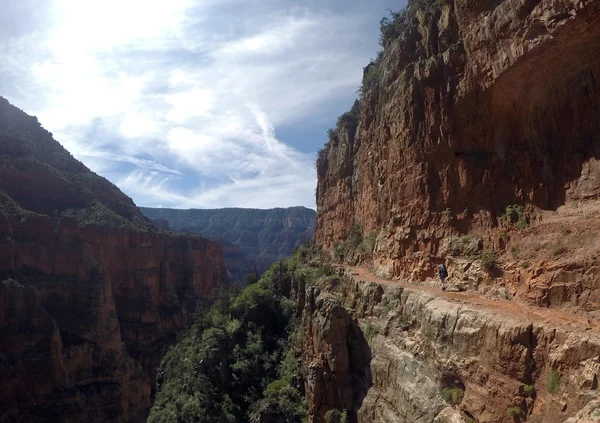 Grand Canyon Nationalpark USA Wandern 44 — Stockfoto