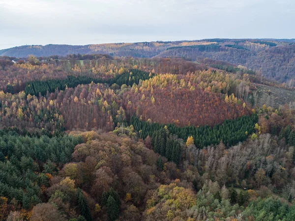 Widok z lotu ptaka Piękny zielony, pomarańczowy i czerwony jesienny las, wiele drzew różne kolory niemiecki Nadrenia Palantino — Zdjęcie stockowe