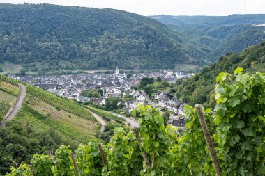 Ünlü Alman Şarap Bölgesi Moselle Nehri Winningen Köyü