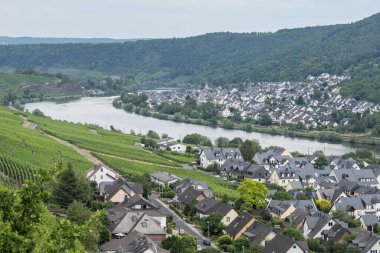 Ünlü Alman Şarap Bölgesi Moselle Nehri Winningen Köyü