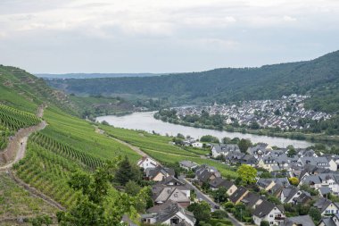 Ünlü Alman Şarap Bölgesi Moselle Nehri Winningen Köyü