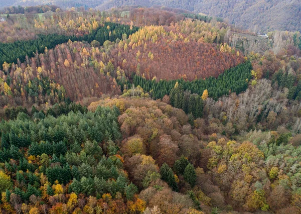 空中ビュー美しい緑、オレンジと赤の秋の森、多くの木異なる色ドイツラインラントパランティーノ — ストック写真