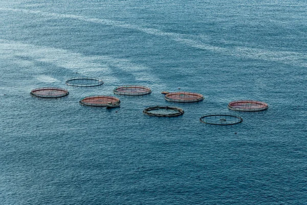 Vzdušný pohled shora na kruhy rybí aqua farmy v moři madeiry Portugalsko Evropa — Stock fotografie
