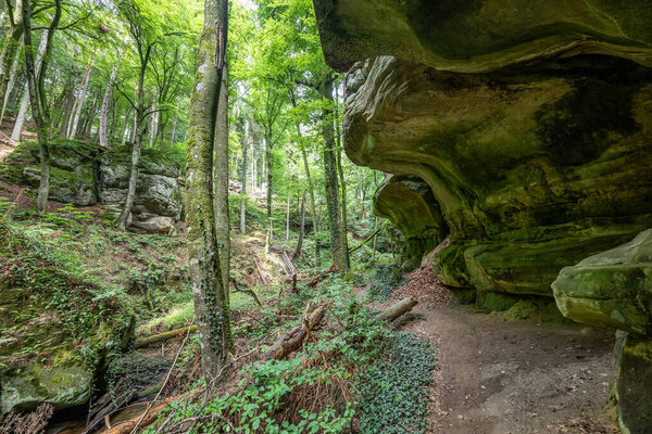 Beautiful green forest Hiking path with Sandstone chalk rock formations in Berdorf Mullerthal Luxembourg.