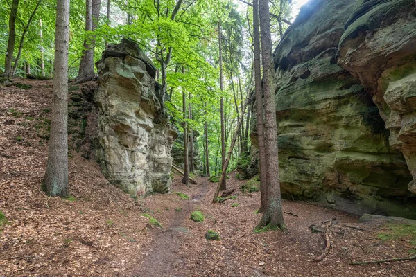 Berdorf Mullerthal Lüksemburg 'da Kum Taşı kaya oluşumları ile güzel yeşil orman yürüyüş yolu.
