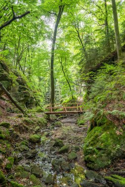 Berdorf Mullerthal Lüksemburg 'da Kum Taşı kaya oluşumları ile güzel yeşil orman yürüyüş yolu.
