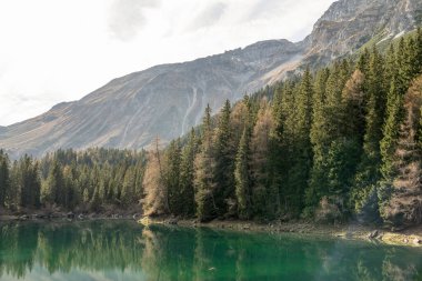 Yaz zamanı Obernberg Gölü romantik ormanlarında manzaralı dağ gölleri Avusturya 'da, Tyrol.