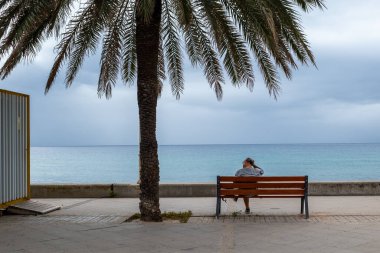 A person sitting on a bench under a palm tree by the sea.