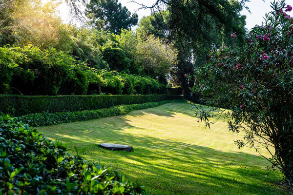 Кипарисовые деревья, создающие красивый геометрический пейзаж в садах Санта-Клотильда, lloret de mar, Испания