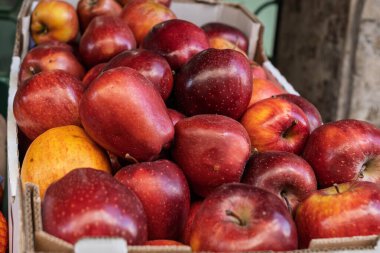 Markette kırmızı ve yeşil elmalar sergileniyor, satılık taze ürünler sergileniyor..