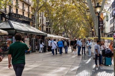 Barselona, İspanya-1 Kasım 2025. Turistler ve yerliler güneşli bir gökyüzünün altında La Rambla caddesinin geniş ağaç çizgili geçidinde yürüyorlar. Toplu turizm, kentsel yaşam ve ikonik bölgeler.