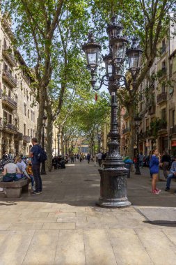 Barselona, İspanya-17 Ocak 2026. Büyük uçak ağaçlarının gölgelediği yaya geçidinde uzun siyah bir sokak lambası duruyor..