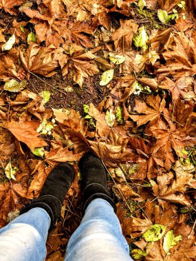 Yağmurdan sonra kahverengi ve sarı tonlarda ıslak sonbahar yaprakları üzerinde duran kot ve siyah çizmeli bir insanın tepeden aşağı bakışı.