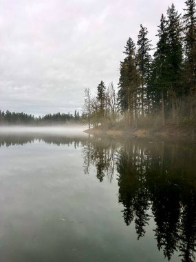 Sakin göl yüzeyi, sakin bir doğal orman manzarasında, suyun altında süzülen hafif sisli ve yeşil ağaçları ve alçak kıyı şeridini yansıtır.