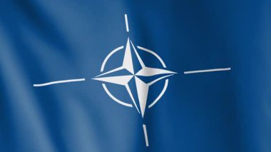Flag of the NATO (North Atlantic Treaty Organization) animated background. Symbol the intergovernmental alliance. A white compass rose on blue.