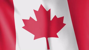 Kanada animasyon arka planının bayrağı. Kanada halkının ve kültürlerinin sembolü. Rüzgar görüntülerinde dalgalanan bayrak. Tabelanın adı da Maple Leaf..