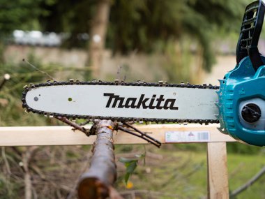 DRESDEN, ALMANY - 1. Ağustos 2023: Makita elektrikli testere DUC353 yakacak odun yapmak için ince bir ağaç gövdesini tutuyor. Bahçedeki odunları kablosuz ve pille çalışan ekipmanlarla testereyle kesmek..