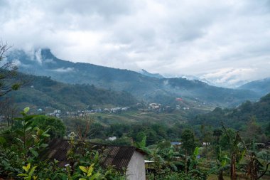 Bulutlu gökyüzünün altındaki ormanlık tepeler