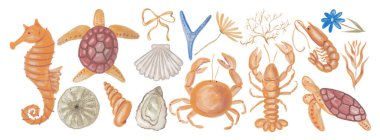 Deniz Kabukları, Kabuklular, Mercan ve Deniz Yaratıkları Eğitim, Paketleme ve Editörel Tasarımı içeren suluboya Deniz Yaşamı ve Sahil Elementleri. Yüksek kalite fotoğraf