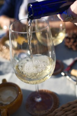 Yemekler için gurme içeceği olarak şarap