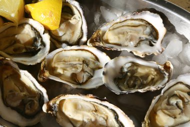 Kutlama için taze istiridye, lüks gurme yemekleri gibi.