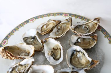 Kutlama için taze istiridye, lüks gurme yemekleri gibi.