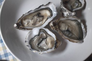 Kutlama için taze istiridye, lüks gurme yemekleri gibi.