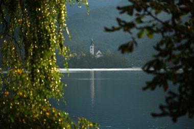 Slovenya 'nın Bled Island kentindeki Kiliseyle Göl Manzarası