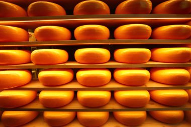 Doğal dokular ve dilimlenmiş parçalarla sergilenen zanaatkar peynirleri