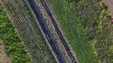 Ekin Çizgileriyle Tarım Alanlarının Hava Aracı Görünümü