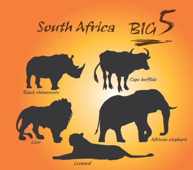 Büyük beş Afrika yaban hayatı. Vektör sanat, illüstrasyon.