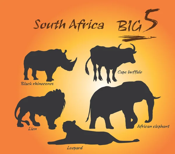 Stora fem vilda djur i Afrika. Vektor konst, illustration. — Stock vektor