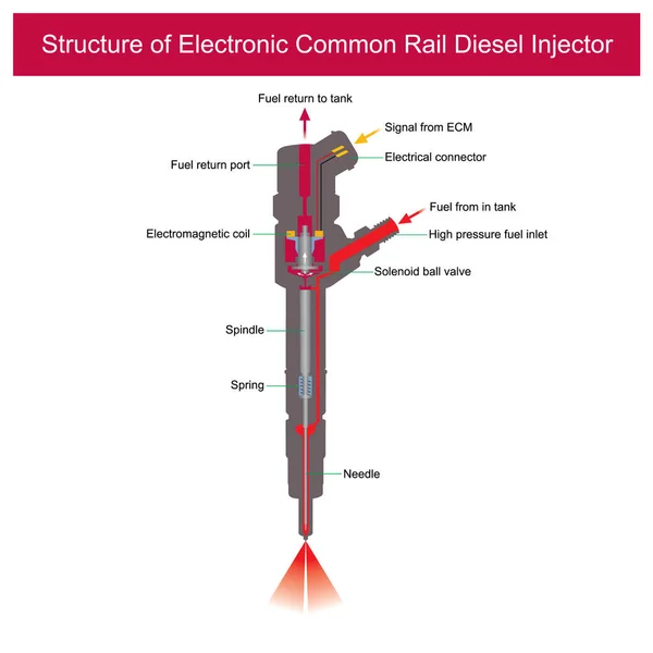 Structuur Van Electronic Common Rail Diesel Injector Illustratie Verklaren Een — Stockvector