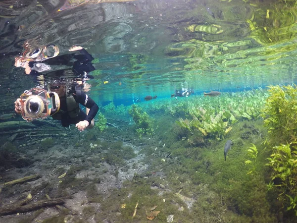 Diving Deep Crystal Blue Sea — Stock Photo, Image