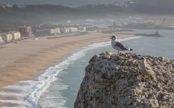 görünümünü nazare, Portekiz.