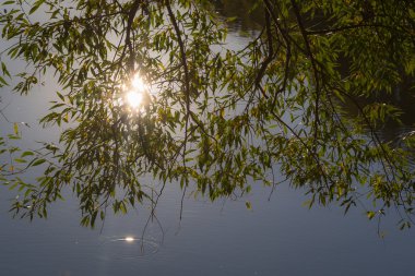 Gölde Sonbahar Günbatımı