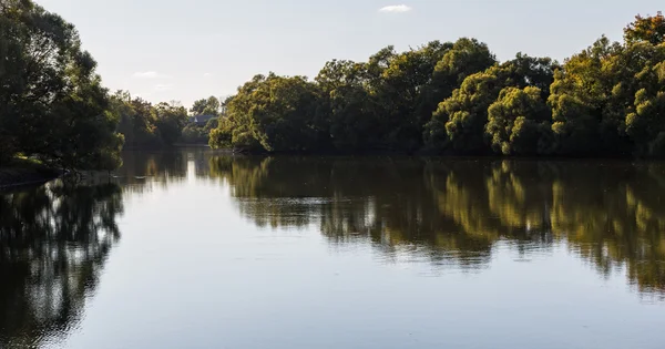 Herbstliche Waldspiegelung im Wasser — Stockfoto