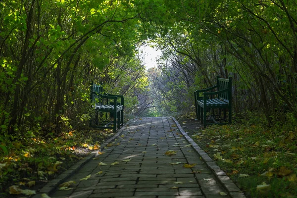 Sıcak Sonbahar akşam eski Estate