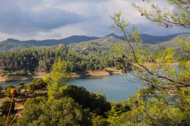 Huzurlu Orman Gölü Manzarası Huzurlu Doğa Manzarası. Yüksek kalite fotoğraf