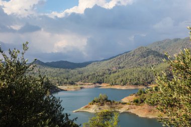 Huzurlu Orman Gölü Manzarası Huzurlu Doğa Manzarası. Yüksek kalite fotoğraf