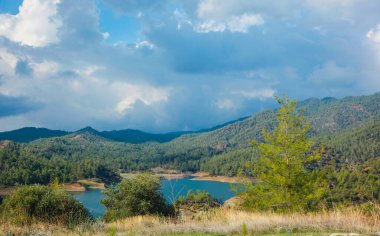 Huzurlu Orman Gölü Manzarası Huzurlu Doğa Manzarası. Yüksek kalite fotoğraf