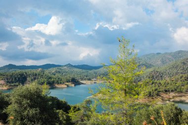Huzurlu Orman Gölü Manzarası Huzurlu Doğa Manzarası. Yüksek kalite fotoğraf
