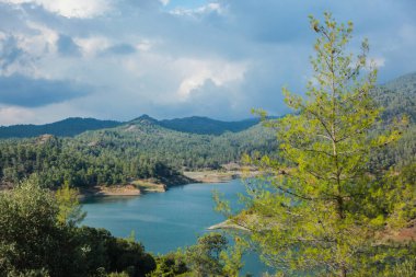 Huzurlu Orman Gölü Manzarası Huzurlu Doğa Manzarası. Yüksek kalite fotoğraf
