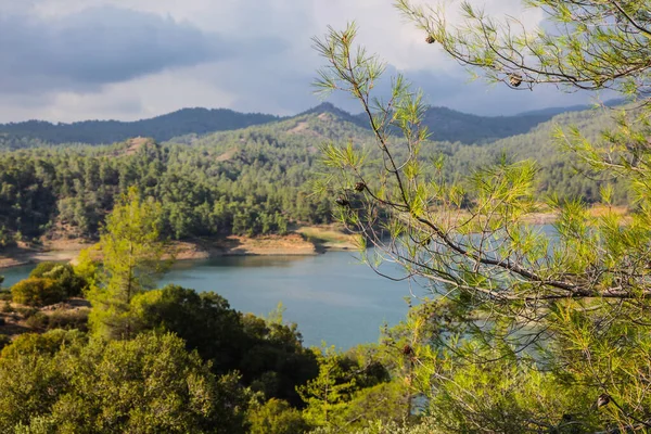 Huzurlu Orman Gölü Manzarası Huzurlu Doğa Manzarası. Yüksek kalite fotoğraf