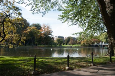 Boston kamu bahçeleri