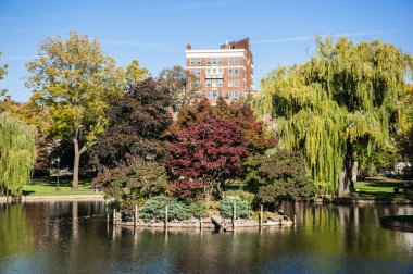 Boston kamu bahçeleri görünümünden