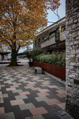 Ağaçların Altındaki Taş Duvarlar Dar Döşemeli Döşeme Döşeme Döşemeli Koridor Sarmaşık Tırmanış Masonu, Ahşap Saksı ve Metal Benç, Sönük Sonbahar Paleti,