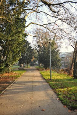 Sunlit Park Patikası Sıralı Sıralar ve Lamba direkleriyle Sonbahar Işığı Sonbahar Işığı Kalıpları Çapraz Uzun Gölgeler