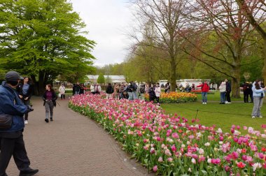 Keukenhof, Hollanda Nisan, Kalabalık Lale Yürüyüşü Fotoğrafçıyla Renkli Yatakların Üzerinde Kamera Hedefi