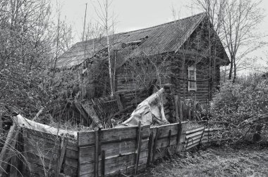 Orman tarafından geri kazanılan çürüyen ahşap izbanın tek renk çalışması. Çökmüş çatı ve yıpranmış kütükler, kayıp bir tarihi ve vahşi doğada zamanın sessiz geçişini anımsatıyor..